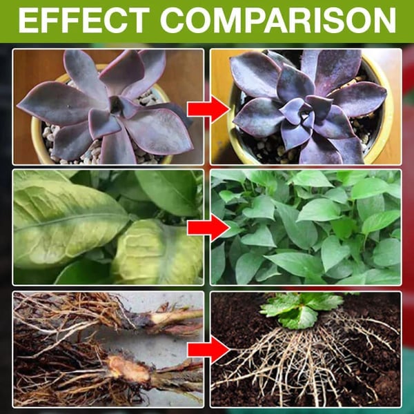 🔥Buy 2 Get 1 Free(3PCS)🔥Plant Nutrient Solution