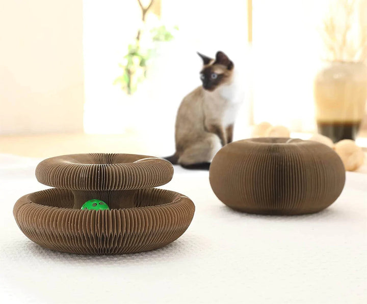 Magic Organ Cat Scratching Board - With Toy Bell Ball