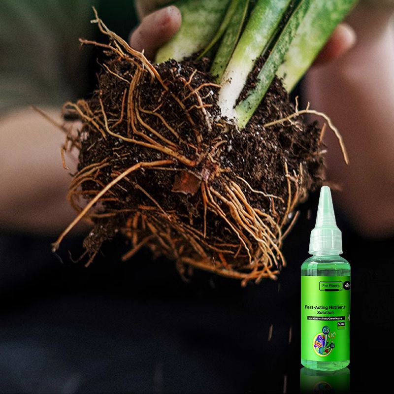 2024š„Fast-Acting Nutrient Solution for Plants