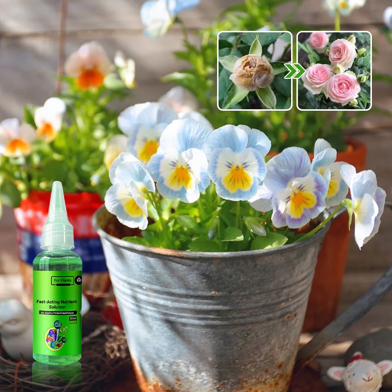 2024š„Fast-Acting Nutrient Solution for Plants
