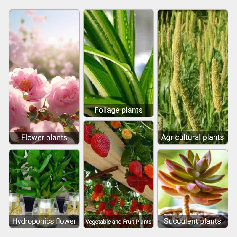 2024š„Fast-Acting Nutrient Solution for Plants