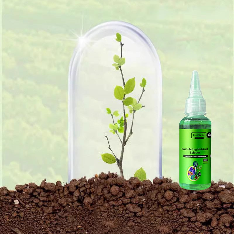 2024š„Fast-Acting Nutrient Solution for Plants