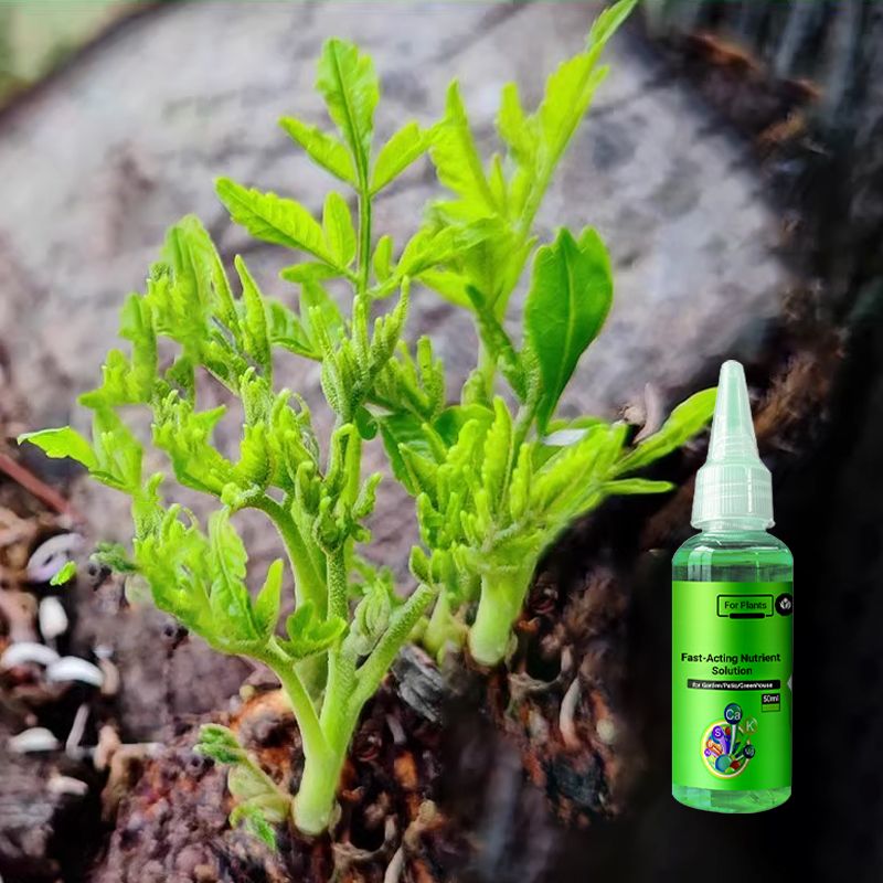 2024š„Fast-Acting Nutrient Solution for Plants