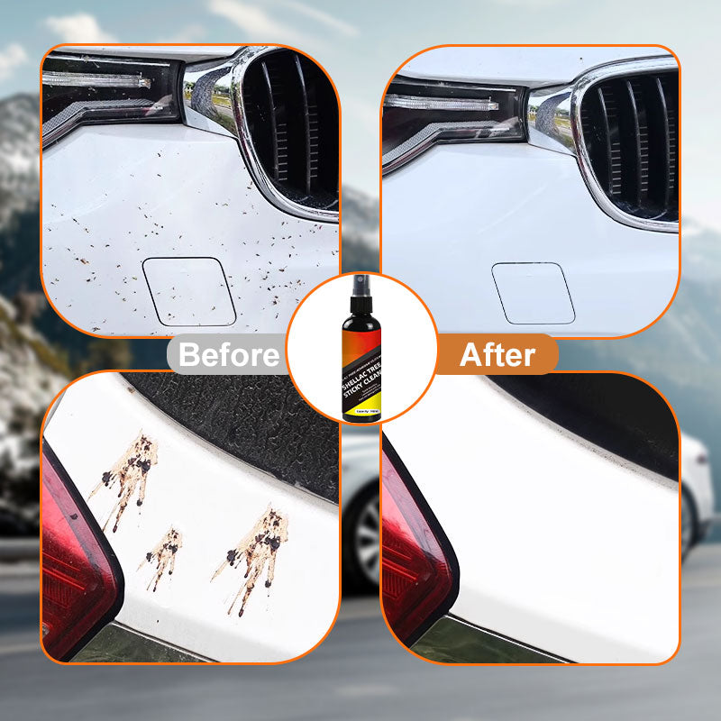 Effective Multi-Purpose Shellac Resin Cleaner