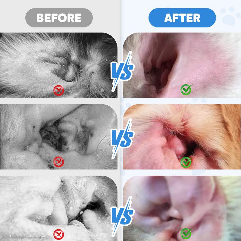Ear Cleaner for Dogs & Cats