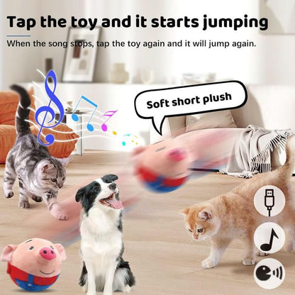 🎅 Music Vibration Bouncing Ball Bouncing Doll Toy