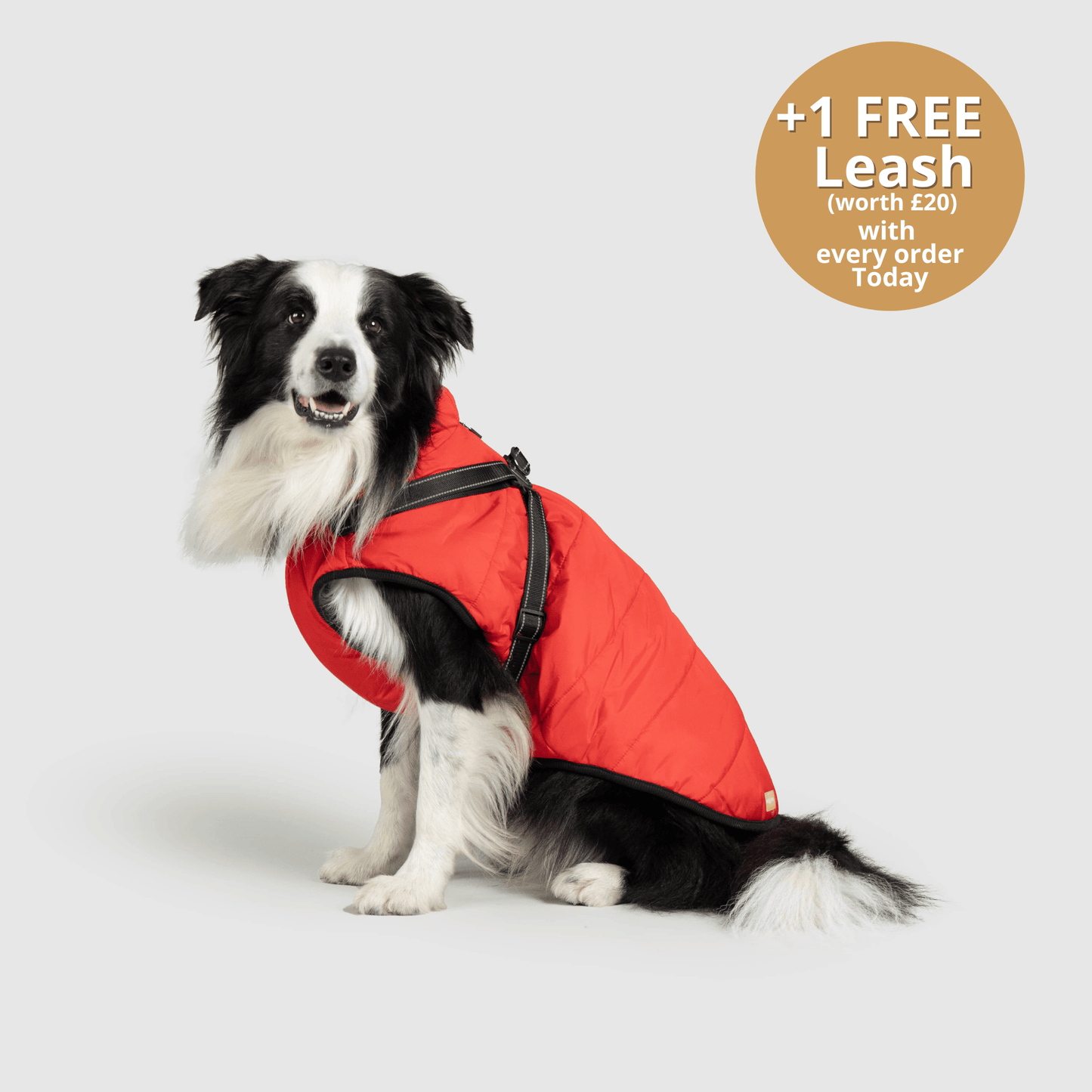 Winter Warm Pet Dog Waterproof Jacket With Harness