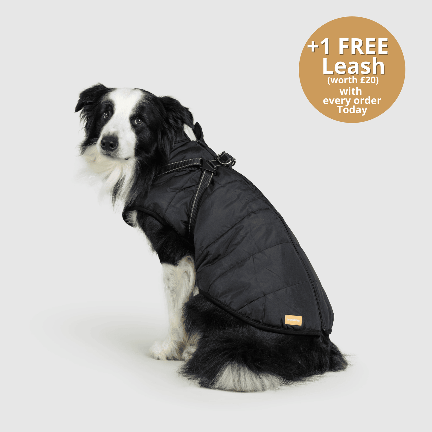 Winter Warm Pet Dog Waterproof Jacket With Harness