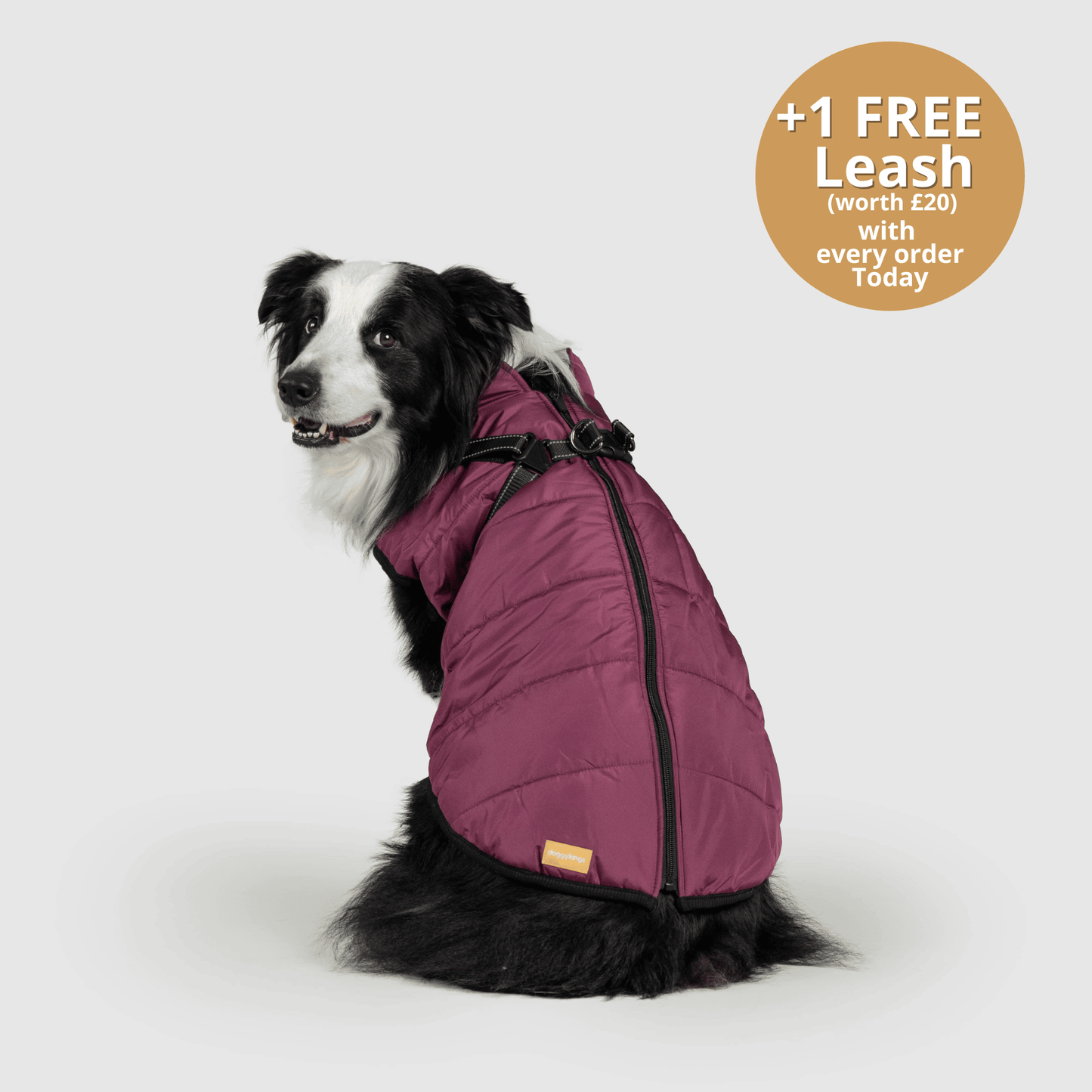 Winter Warm Pet Dog Waterproof Jacket With Harness