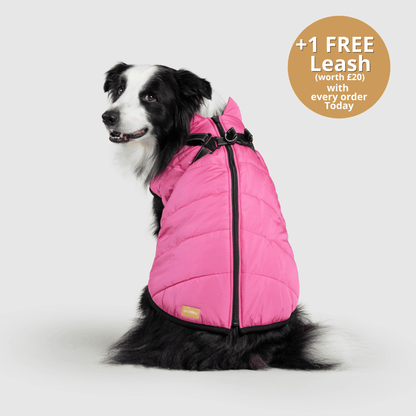 Winter Warm Pet Dog Waterproof Jacket With Harness