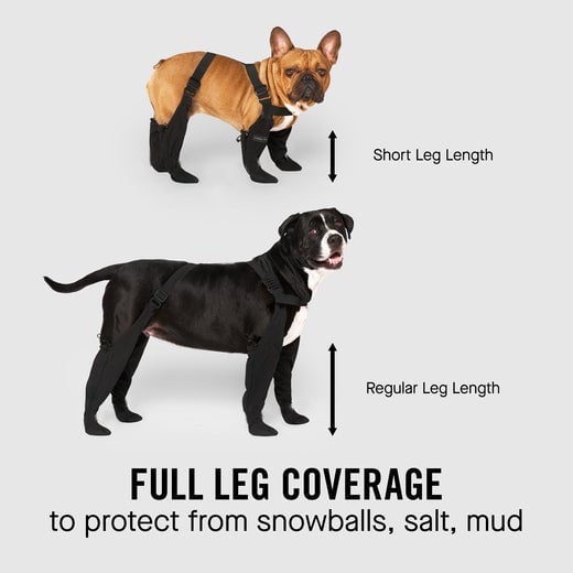 🐶Waterproof boots for pets 💖Ultimate Paw Protection