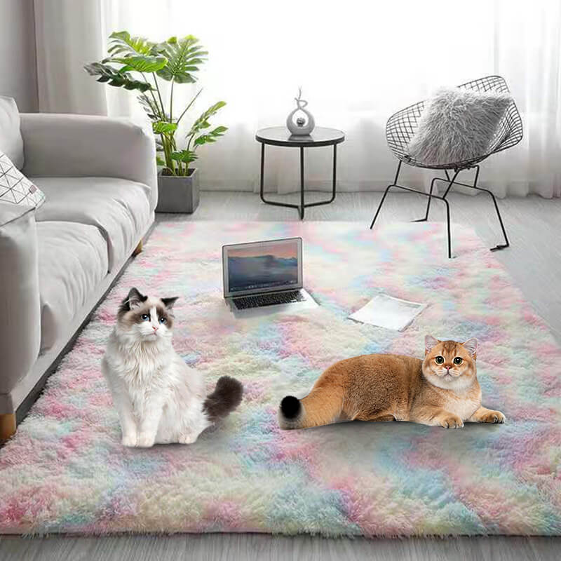 New Year Sale🔥Gradient Color Plush Floor Mat