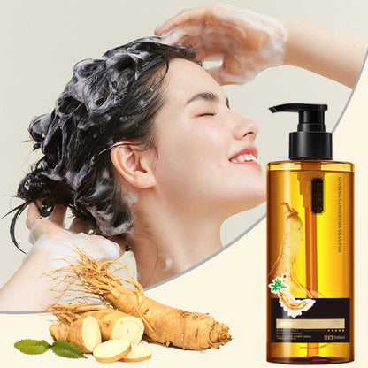 🔥Herbal Oil Control and Hair Repair Shampoo