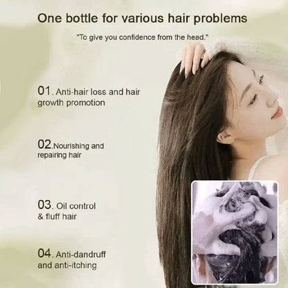 Ginger Plant Extract Anti-Hair Loss Hair Shampoo