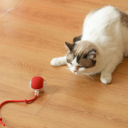 🎁New Hot Sales - 49% OFF🐶Smart Automatic Rolling Pet Ball