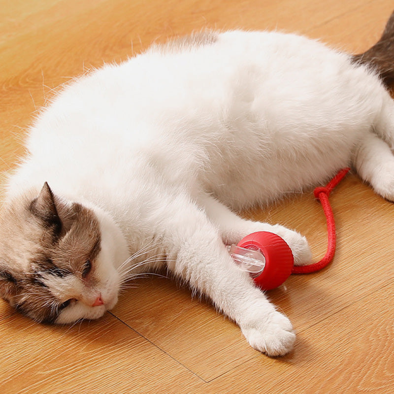 🎁New Hot Sales - 49% OFF🐶Smart Automatic Rolling Pet Ball