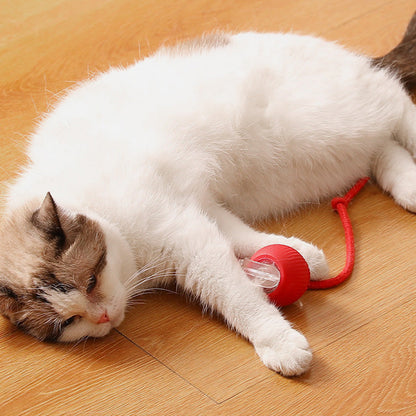 🎁New Hot Sales - 49% OFF🐶Smart Automatic Rolling Pet Ball