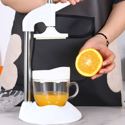 Upgrade Stainless Steel Manual Juicer