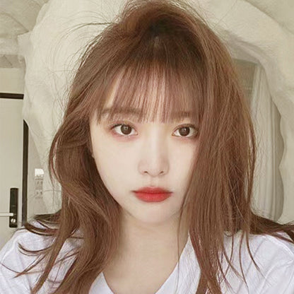 🎉Hot Sale🎉Long-Lasting Natural Plant Hair Color Dye