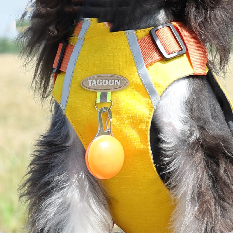 Waterproof Reflective Vest Harness with Zipper Pocket and D-ring for Dogs