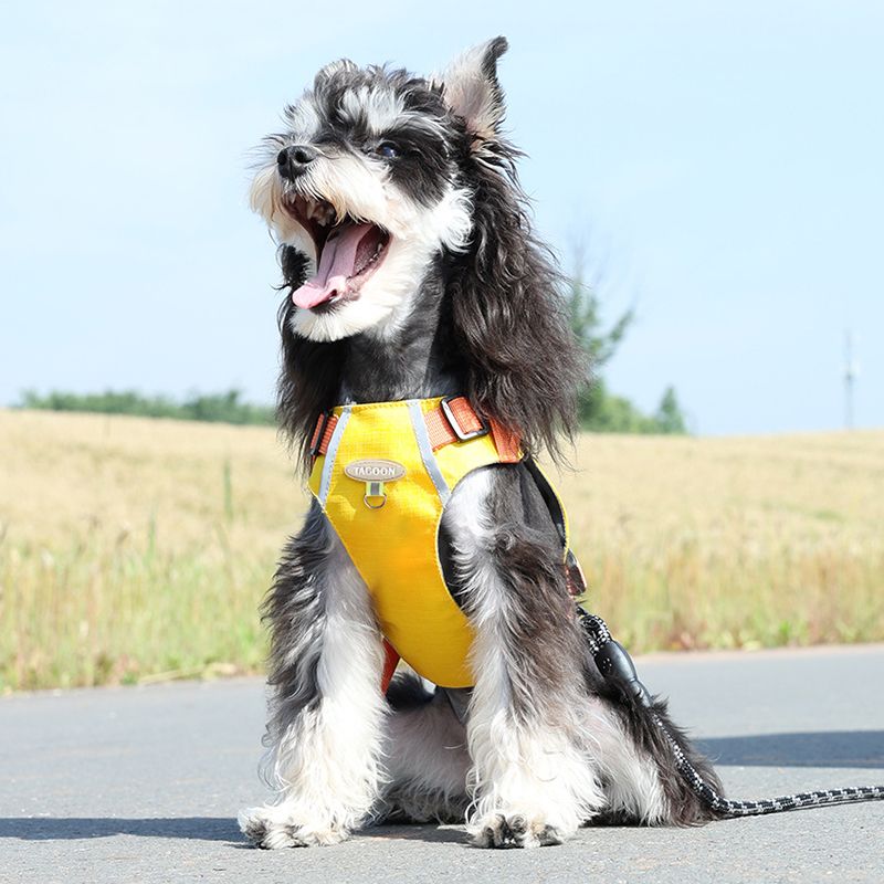 Waterproof Reflective Vest Harness with Zipper Pocket and D-ring for Dogs