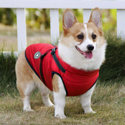 Winter Warm Pet Dog Waterproof Jacket With Harness