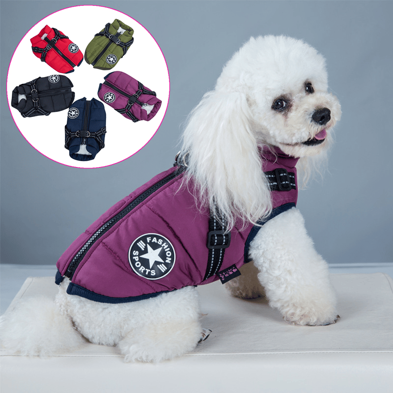 Winter Warm Pet Dog Waterproof Jacket With Harness