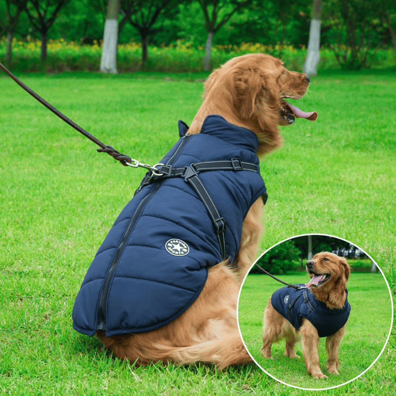 Winter Warm Pet Dog Waterproof Jacket With Harness