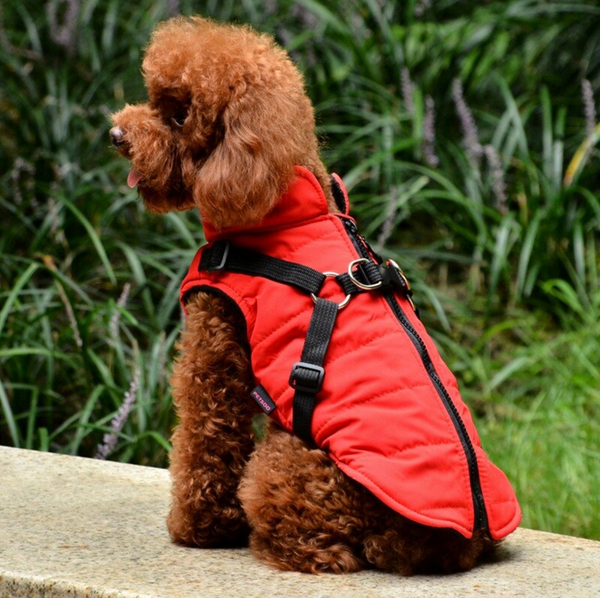 Winter Warm Pet Dog Waterproof Jacket With Harness