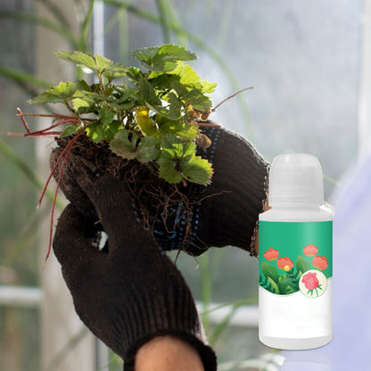 Universal Plant ＆ Flower Activation Liquid Solution