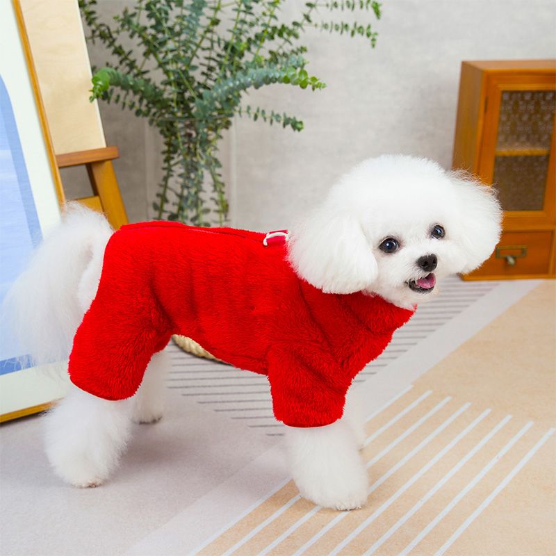 Winter jacket for dogs with zip in the back-🎁Early Christmas sale - 49% discount🎅