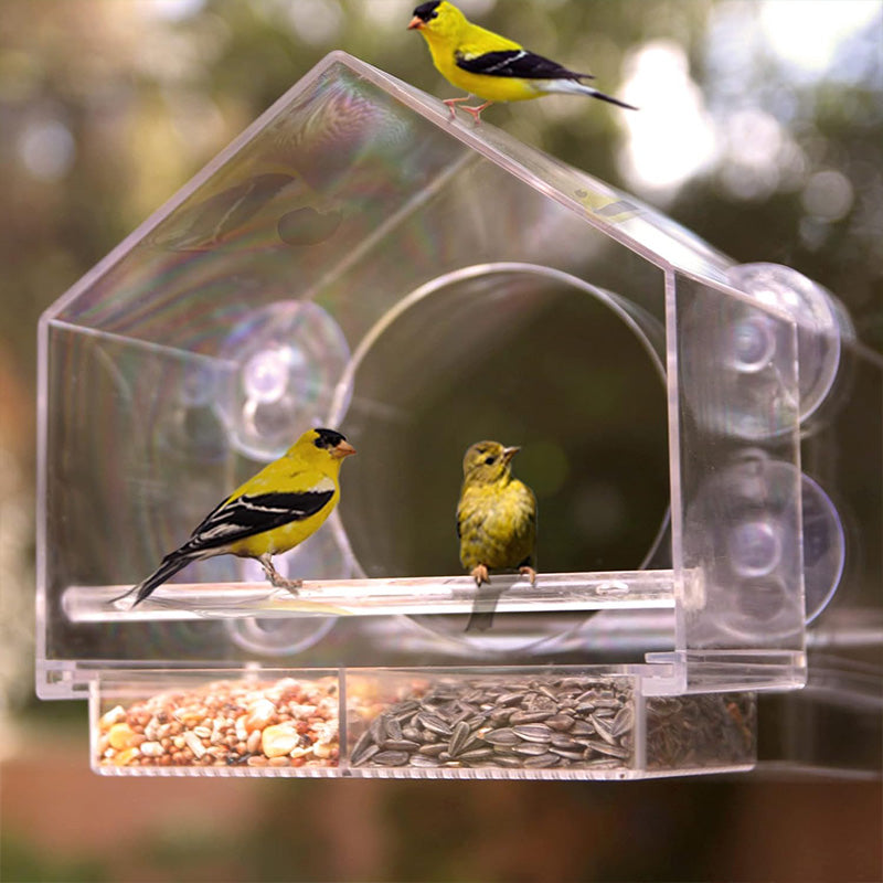 Transparent Acrylic  Window Bird Feeder