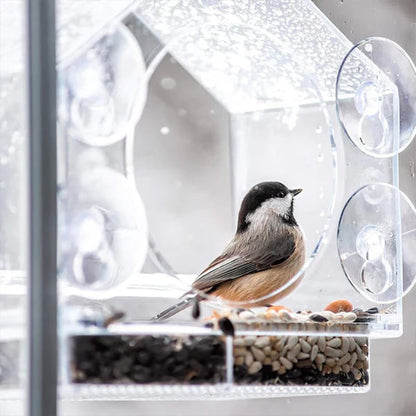 Transparent Acrylic  Window Bird Feeder