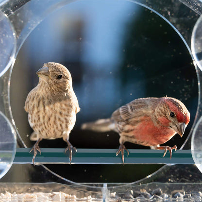 Transparent Acrylic  Window Bird Feeder