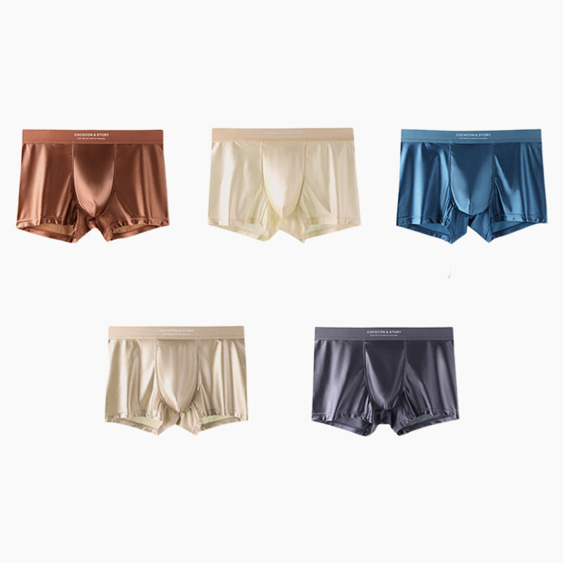 🔥BUY 2 GET 10% OFF🔥Men's Satin Ice Silk Briefs