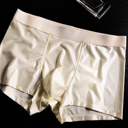🔥BUY 2 GET 10% OFF🔥Men's Satin Ice Silk Briefs
