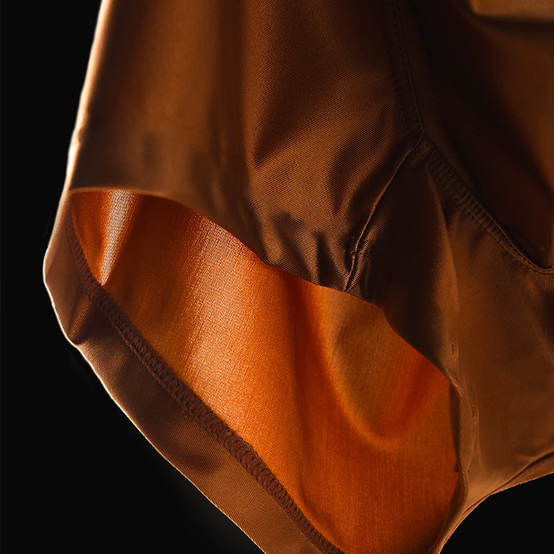 🔥BUY 2 GET 10% OFF🔥Men's Satin Ice Silk Briefs