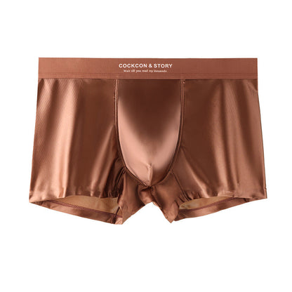 🔥BUY 2 GET 10% OFF🔥Men's Satin Ice Silk Briefs