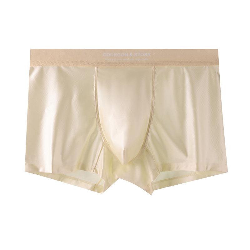 🔥BUY 2 GET 10% OFF🔥Men's Satin Ice Silk Briefs
