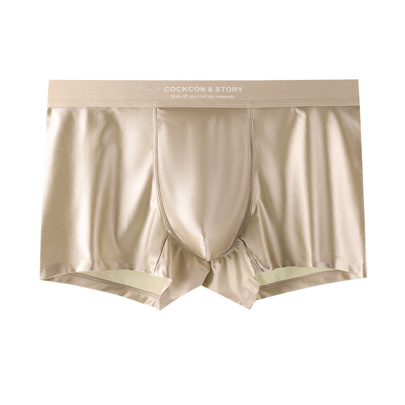 🔥BUY 2 GET 10% OFF🔥Men's Satin Ice Silk Briefs
