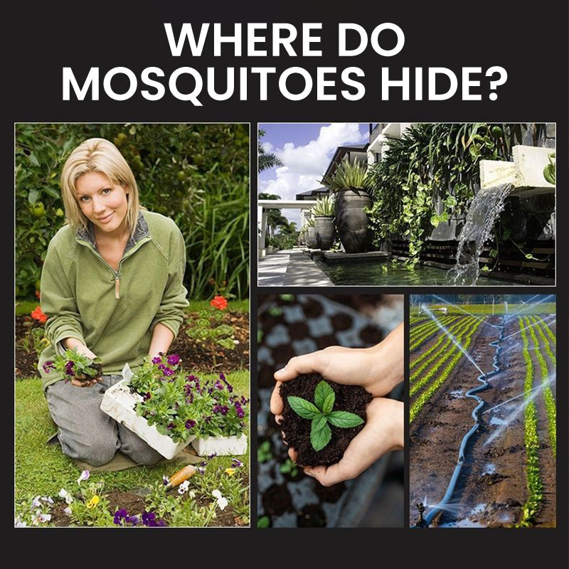 🔥Limited Time Promotion 50% OFF🔥Solar Mosquito Zapper Lamp Stake