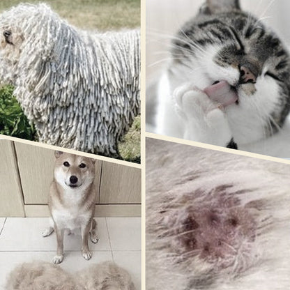 🔥Limited Time Promotion 50% OFF🔥Double sided pet grooming brush