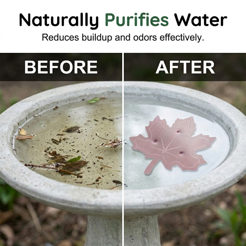 🔥Limited Time Promotion 50% OFF🔥Universal Fit Bird Bath Purifier