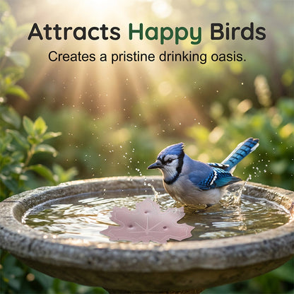 🔥Limited Time Promotion 50% OFF🔥Universal Fit Bird Bath Purifier