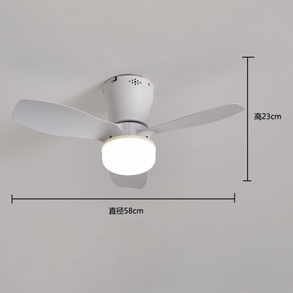 🔥Last day of the limited-time 50% off sale!🔥Remote-Controlled LED Ceiling Fan Light