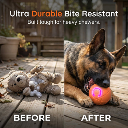 ⏰🔥LIMITED TIME 50% OFF!🔥50K+ SOLD!   🐾 AUTO-BOUNCING SMART PET BALL WITH REMOTE CONTROL— 3 Interactive Modes | Chew-Resistant E-TPU | USB-C Rechargeable 🎾