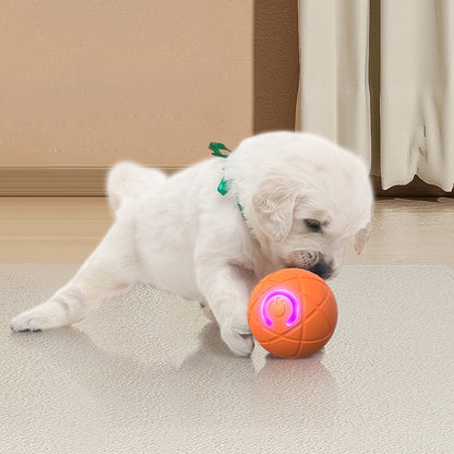 ⏰🔥LIMITED TIME 50% OFF!🔥50K+ SOLD!   🐾 AUTO-BOUNCING SMART PET BALL WITH REMOTE CONTROL— 3 Interactive Modes | Chew-Resistant E-TPU | USB-C Rechargeable 🎾