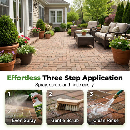 Outdoor Moss & Algae Remover Spray