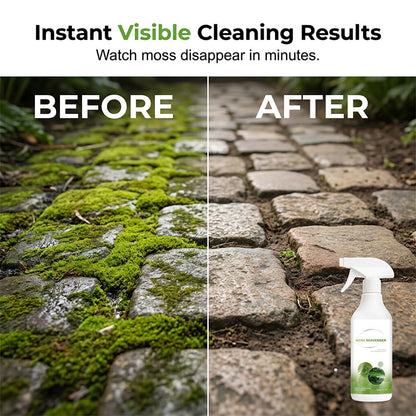 Outdoor Moss & Algae Remover Spray